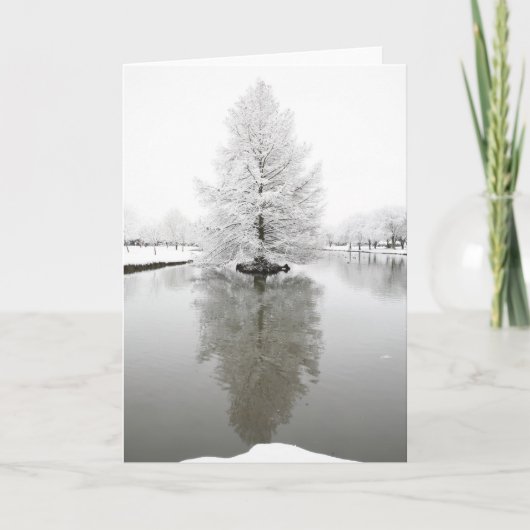 Witte reflecterende sneeuw kaart (Voorkant)