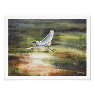 Witte Reiger Aquarel  Foto Afdruk