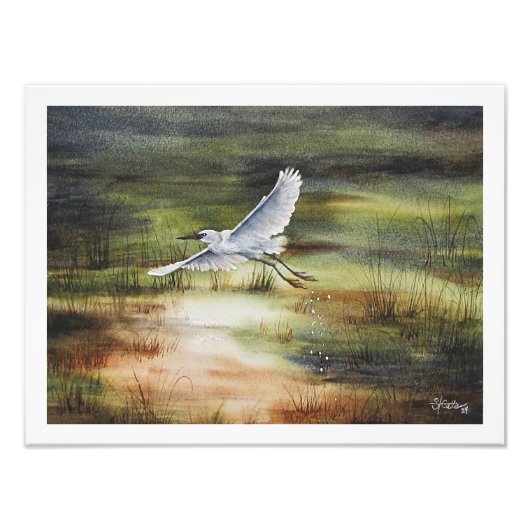 Witte Reiger Aquarel  Foto Afdruk (Voorkant)
