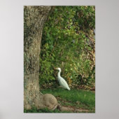 Witte reiger poster (Voorkant)