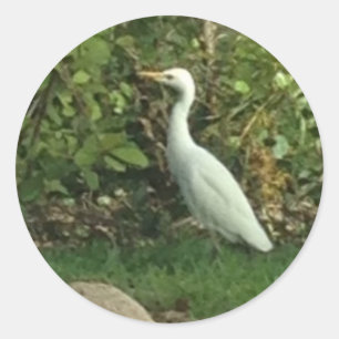 Witte Reiger Ronde Sticker