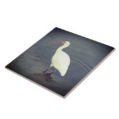 Witte reiger Vist in vijver Tegeltje (Zijkant)