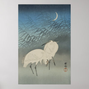 Witte reigers en maan, Ohara Koson Poster