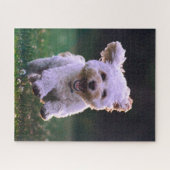 Witte Ren Poodle Aardige Hond Legpuzzel (Horizontaal)