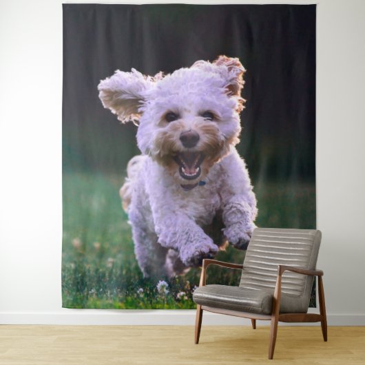 Witte ren Poodle Aardige Hond Wandkleed (In situ)