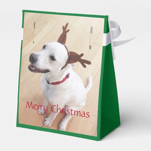 Witte rendierbaars met zoete glimlach kerstgroen bedankdoosjes (Achterkant)