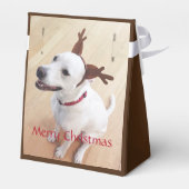 Witte rendierhondenhondenhondenhond: Kerstbruin Bedankdoosjes (Achterkant)