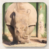Witte Rhino Bier Onderzetter (Voorkant)