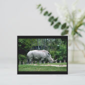 Witte Rhino Briefkaart (Staand voorkant)