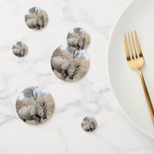 Witte Rhino Confetti (Groep)