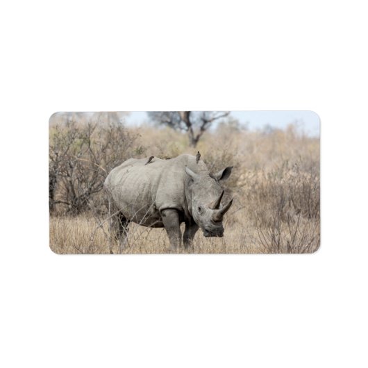 Witte Rhino Etiket (Voorkant)
