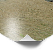 Witte Rhino Foto Afdruk (Hoek)