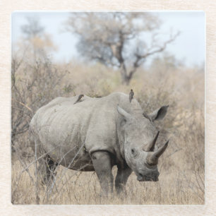 Witte Rhino Glazen Onderzetter
