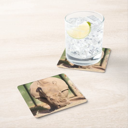 Witte rhino kartonnen onderzetters (Insitu)