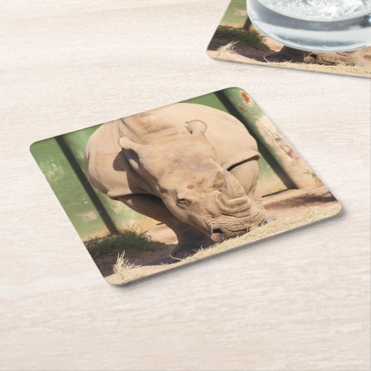 Witte rhino kartonnen onderzetters (Schuin)
