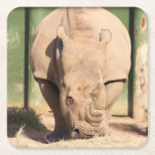 Witte rhino kartonnen onderzetters (Voorkant)