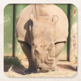 Witte rhino kartonnen onderzetters