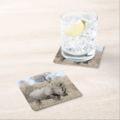 Witte Rhino Kartonnen Onderzetters (Insitu)