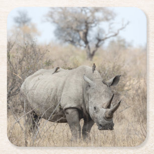 Witte Rhino Kartonnen Onderzetters
