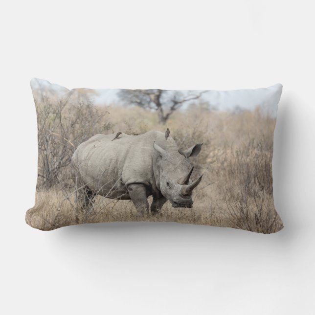 Witte Rhino Kussen (Voorkant)