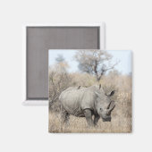Witte Rhino Magneet (Voorkant / Achterkant)