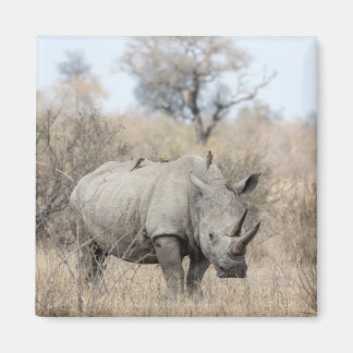 Witte Rhino Magneet