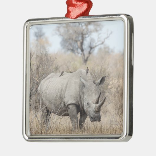 Witte Rhino Metalen Ornament (Links)