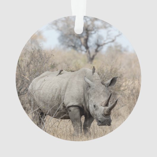 Witte Rhino Ornament (achterkant)