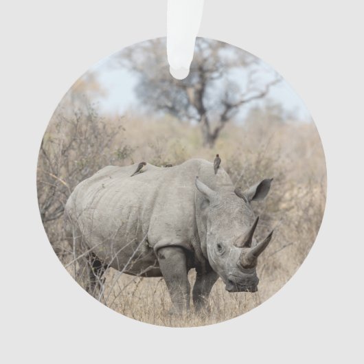 Witte Rhino Ornament (voorkant)