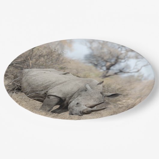 Witte Rhino Papieren Bordje (Gekanteld)