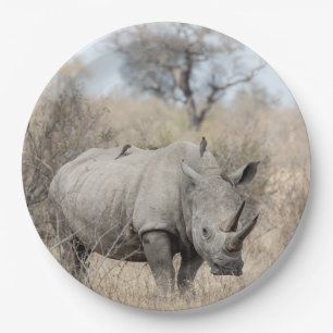 Witte Rhino Papieren Bordje