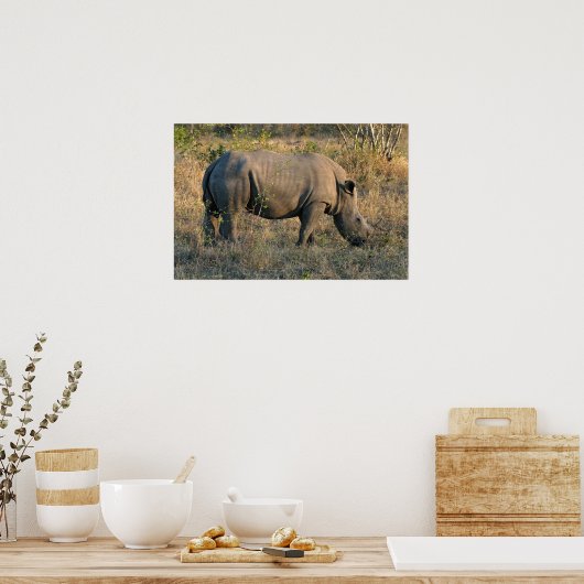 Witte Rhino Poster (Keuken)