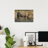Witte Rhino Poster (Thuiskantoor)