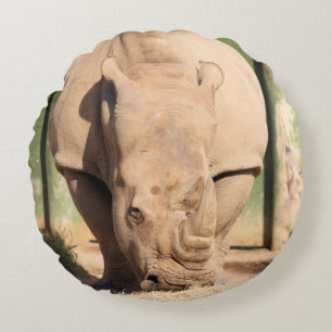 Witte Rhino Rond Kussen
