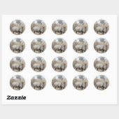 Witte Rhino Ronde Sticker (Vel)