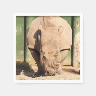Witte rhino servet