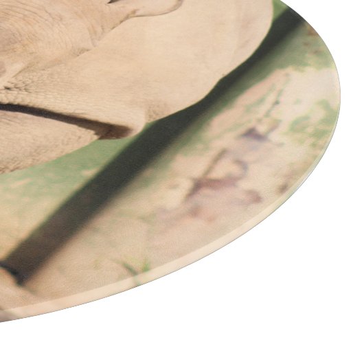 Witte Rhino Snijplank (Hoek)