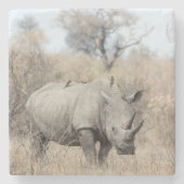 Witte Rhino Stenen Onderzetter (Voorkant)