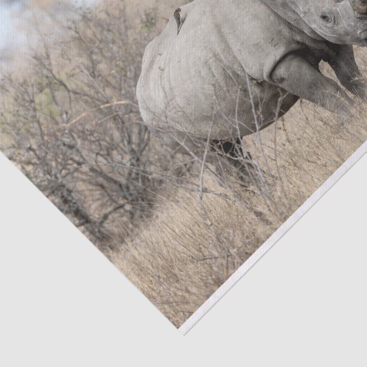 Witte Rhino Tissuepapier (Detail)