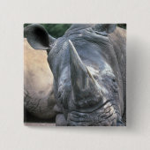 Witte Rhino Vierkante Button 5,1 Cm (Voorkant)