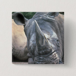 Witte Rhino Vierkante Button 5,1 Cm