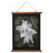 Witte Rhododendron-bloemen met zwarte rand