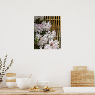 Witte Rhododendron Bloesems en Bamboehek Bloemen Poster