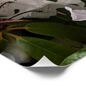 Witte Rhododendron Blooms en Bamboo Fence Floral Perfect Poster (Hoek)