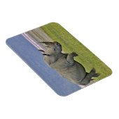 Witte rinoceros en verre Lesser Flamingos, Magneet (Rechterzijde)