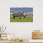 Witte rinoceros en verre Lesser Flamingos, Poster (Keuken)