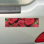 Witte rode rozen bloemen bumpersticker (Op auto)