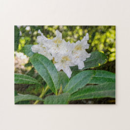 Witte Rododendron Bloemen, Allan Park, Norland Legpuzzel