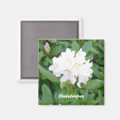 Witte Rododendron magneet (Voorkant / Achterkant)