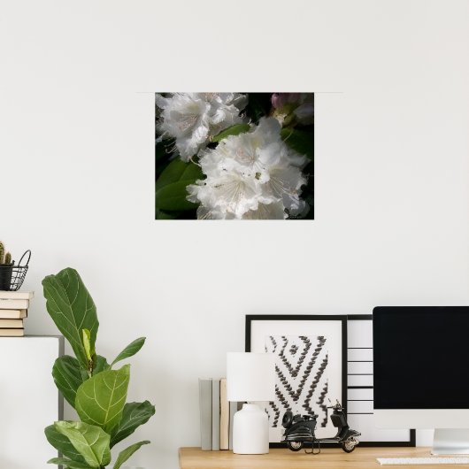 Witte rododendrons Soft Sketch Poster (Thuiskantoor)